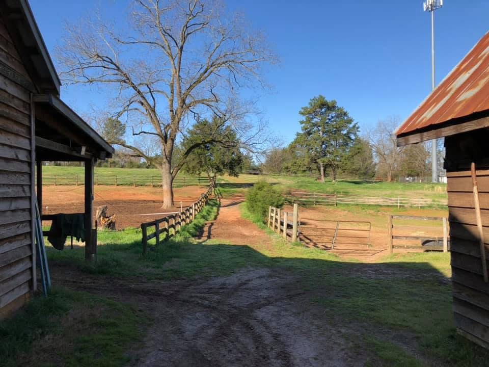 Penn's Woods Stable paddocks and pastures