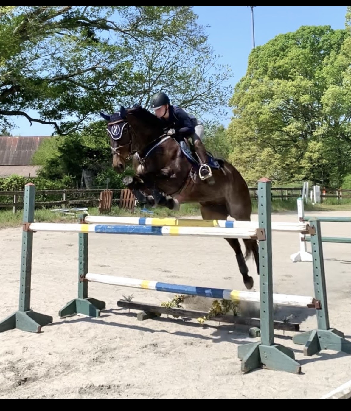 Penn's Woods Stable