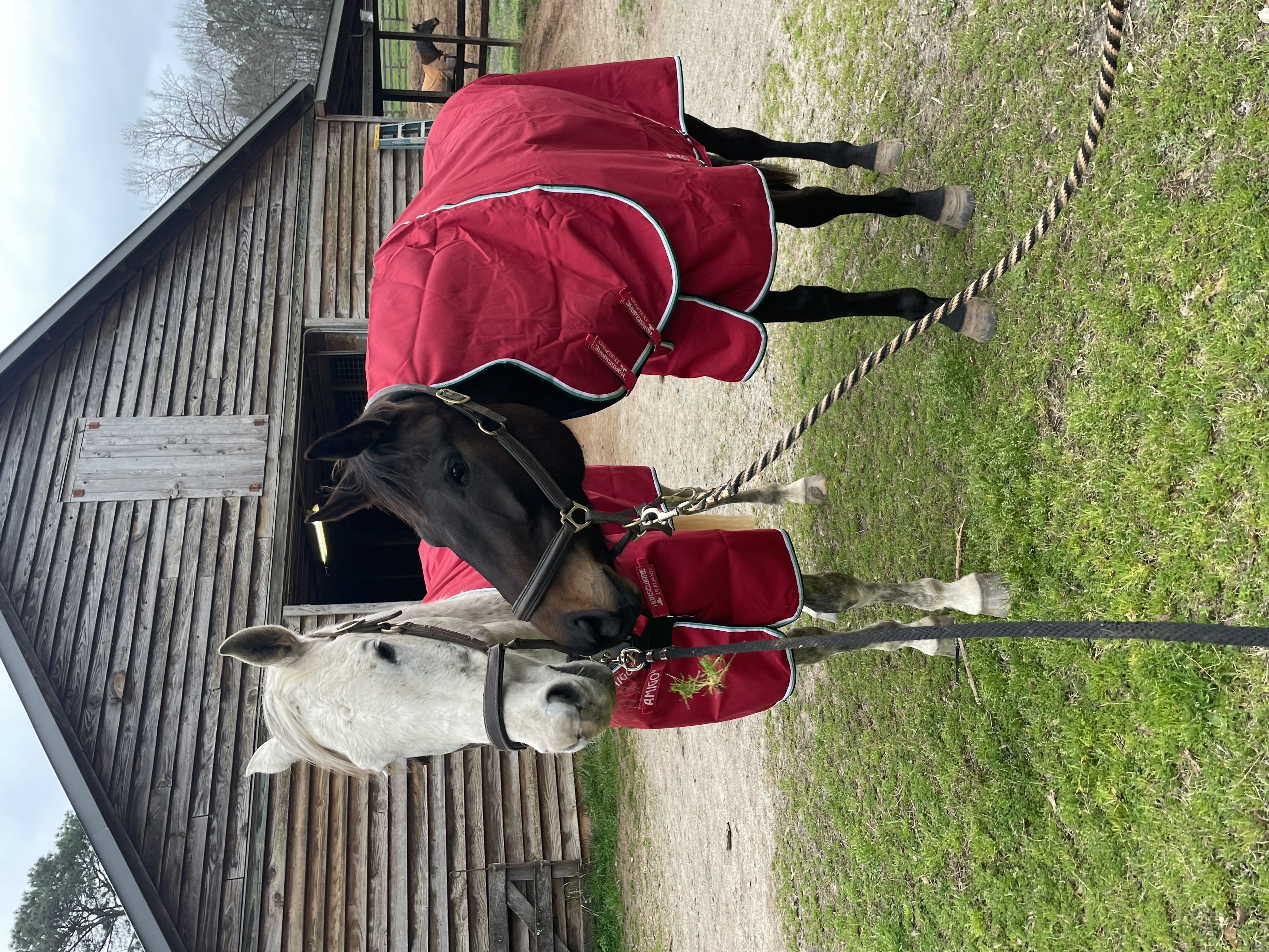Penn's Woods Stable